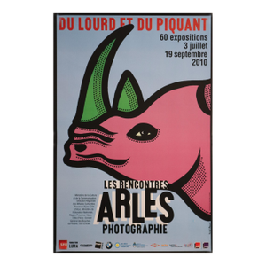 2010 Original Festival Poster, Arles Rhino - Michel Bouvet