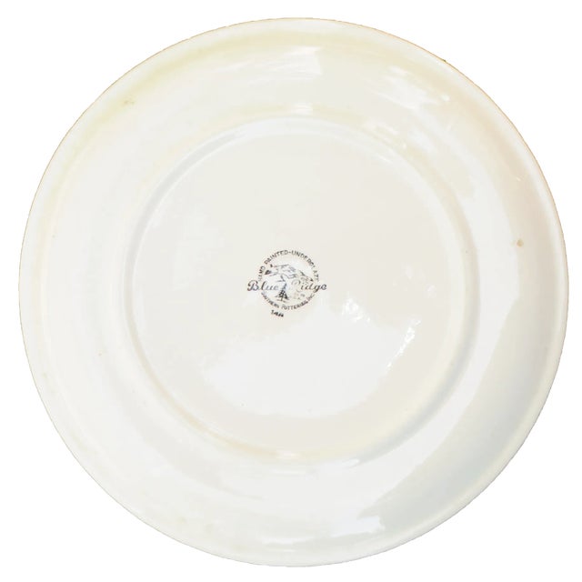 1950s Blue Ridge / Southern Potteries Sunny Spray Dinnerware, 6+ Place Settings / Serving 25 Pieces For Sale In Tulsa - Image 6 of 6