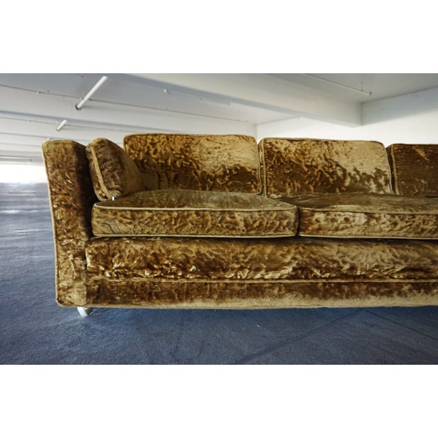 1960s Gold Velvet Couch Chairish