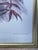 1960s Hanhart Manley Macacus Chromolithographs - Set of 2 For Sale In Miami - Image 6 of 7