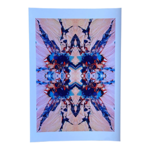 “Kelp Jewel II – Drakes Beach, California” Original Artwork by Clifford Baker