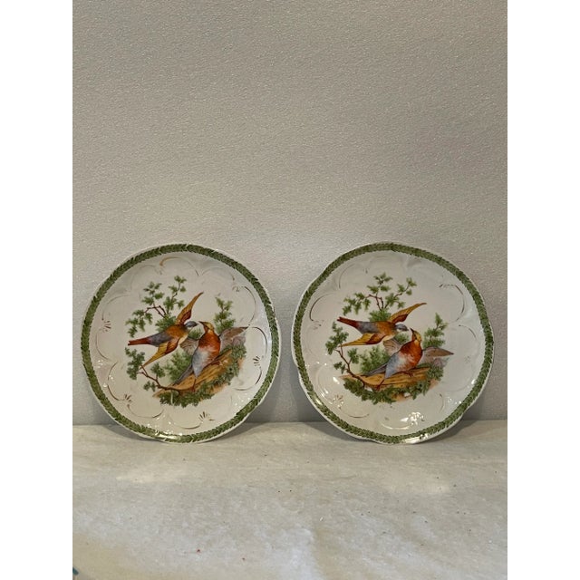 Antique 19th Century Hand-Painted Bird Plates- a Pair For Sale - Image 6 of 6