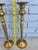 Add timeless charm to your space with this beautiful pair of tall solid brass candlesticks. Standing at 14.5 inches, these...