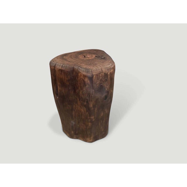 2010s Andrianna Shamaris Modern Organic Charred Teak Wood Tall Side Table For Sale - Image 5 of 6