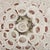 Venini Large Chandelier attributed to Toni Zuccheri for Venini, Italy, 1970s For Sale - Image 4 of 9