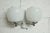 Vintage Italian Double Wall Light by Targetti Sankey, 1960 For Sale - Image 4 of 14