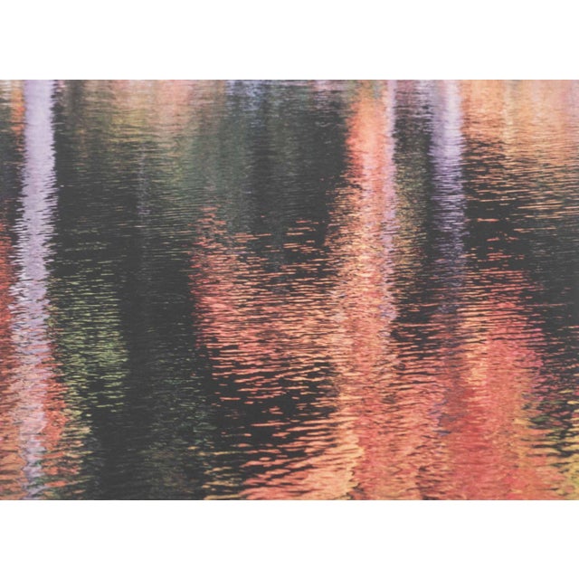 Late 20th Century Sonja Bullaty Autumn River Chromogenic Print For Sale - Image 5 of 9