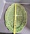 Vintage Bordallo Pinheiro Majolica Cabbage Leaf Serving Platter For Sale In Phoenix - Image 6 of 6