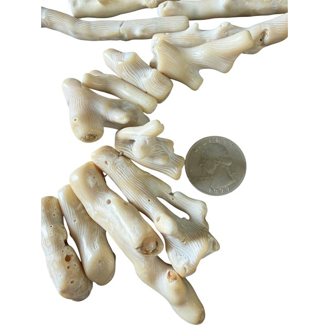 Antique White Vintage Natural African White Coral Trade Beads /Currency /Necklace 49 Pieces For Sale - Image 8 of 12