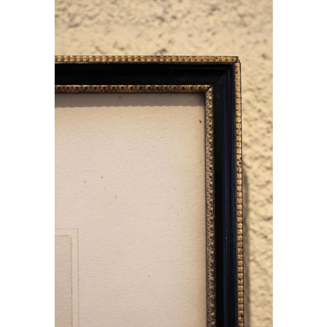 Wood 1934 English Aquatint of a Labrador With Pheasant by R. Ward Binks For Sale - Image 7 of 8