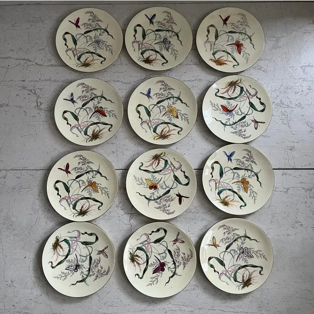 A set of 12 James Green & Nephew Butterfly plates All with 2 different colours butterflies, very pretty pattern all unique...
