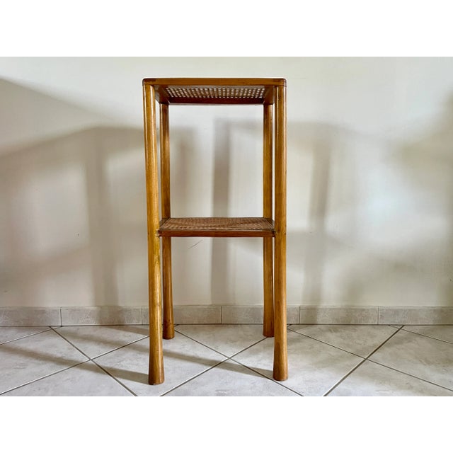 Cane Console with Elephant Legs, 1960 For Sale - Image 11 of 11