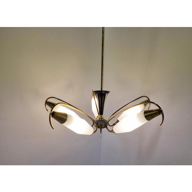 1960s Mid-Century Italian Chandelier, 1960s For Sale - Image 5 of 12