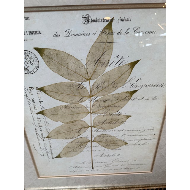 Botanical Collection Plates, Set of Two For Sale - Image 12 of 12