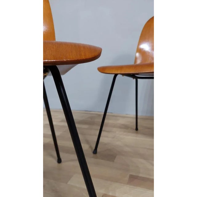 1950s Italian Chairs by Carlo Ratti, 1950s, Set of 2 For Sale - Image 5 of 12