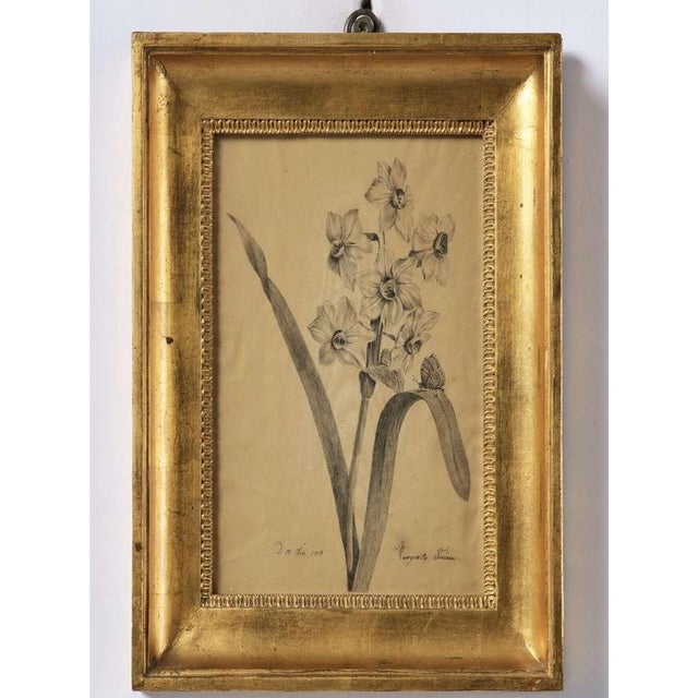 Margaret Trone, Swedish Empire Flower, Paper, Framed, Set of 2 For Sale - Image 5 of 14
