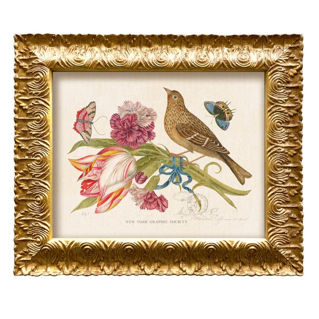 2020s Vintage Reproduction Giclee Print Set of "Birds and Butterflies"-Framed (Set of All 4) For Sale - Image 5 of 7