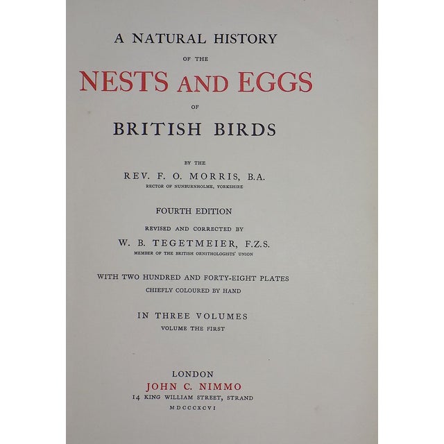 Antique 19th Century Hand Colored Birds of Prey Egg Lithographs - Set of 9 For Sale - Image 10 of 11