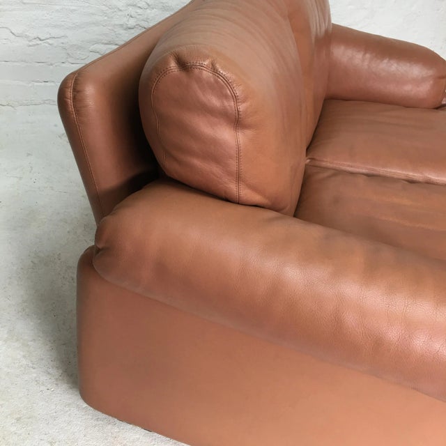 Animal Skin Vintage Coronado Two-Seater Sofa by Afra and Tobia Scarpa for B&B Italia, 1966 For Sale - Image 7 of 10