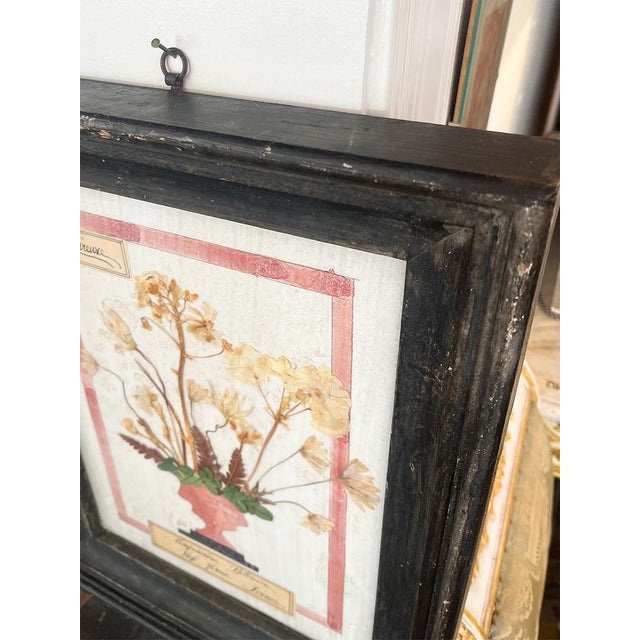 Late 19th Century Set of 4 Fleurs Compostition Botanique Artwork For Sale In New Orleans - Image 6 of 6
