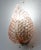 1950s Rare Wall Light Pink Jewel Murano Glass Leave by Barovier E Toso For Sale - Image 6 of 8