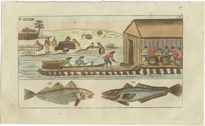 Whiting and Hake and Workers Gutting and Salting Fish, 1832, Paper