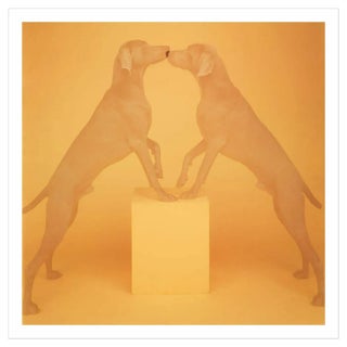 William Wegman, Touching, 1991/2018, Digital Print For Sale