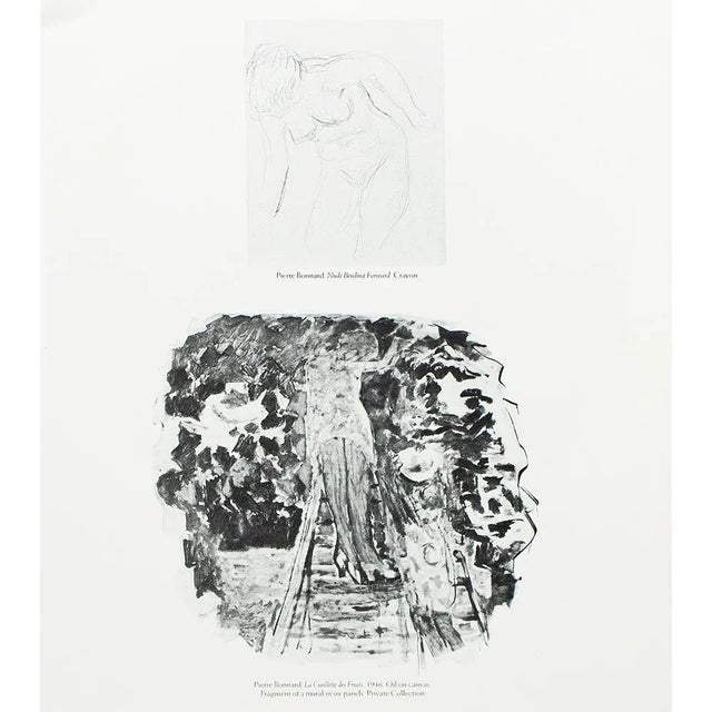 1987 After Pablo Picasso, "Verve No. 19/20" Cover, Second Edition Full-Color Print For Sale In Dallas - Image 6 of 9