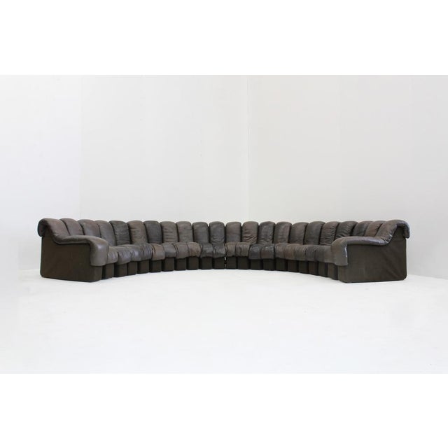 Iconic vintage design piece the Non-Stop DS-600 snake sofa in original dark brown leather by De Sede , Switserland....