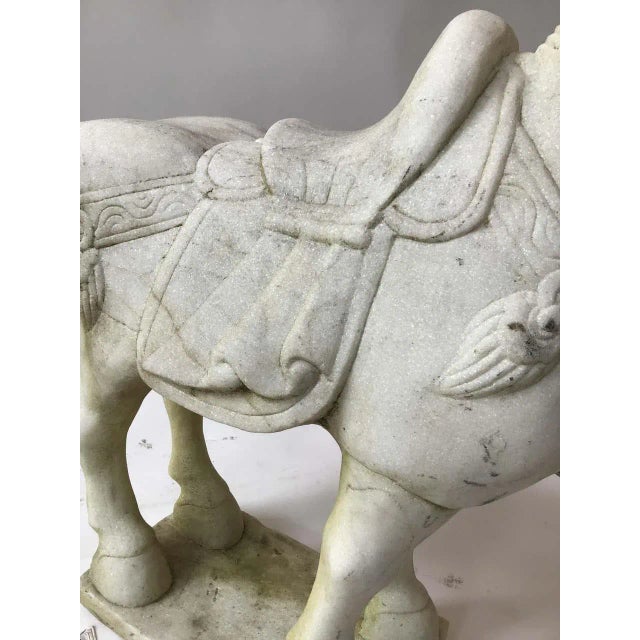 Carved Marble Asian Horses - a Pair For Sale In New York - Image 6 of 13