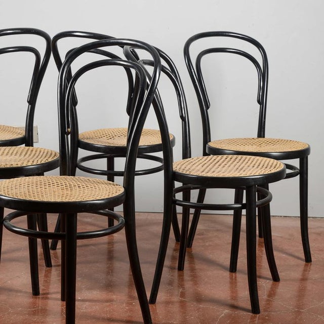 Wood Chairs in the style of Thonet, Set of 6 For Sale - Image 7 of 9