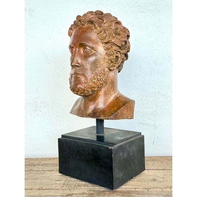 Vintage Patinated Bronze Bust of Alexander the Great For Sale - Image 11 of 12