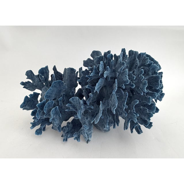 Natural Blue Coral Specimen Coastal Decor For Sale - Image 9 of 9