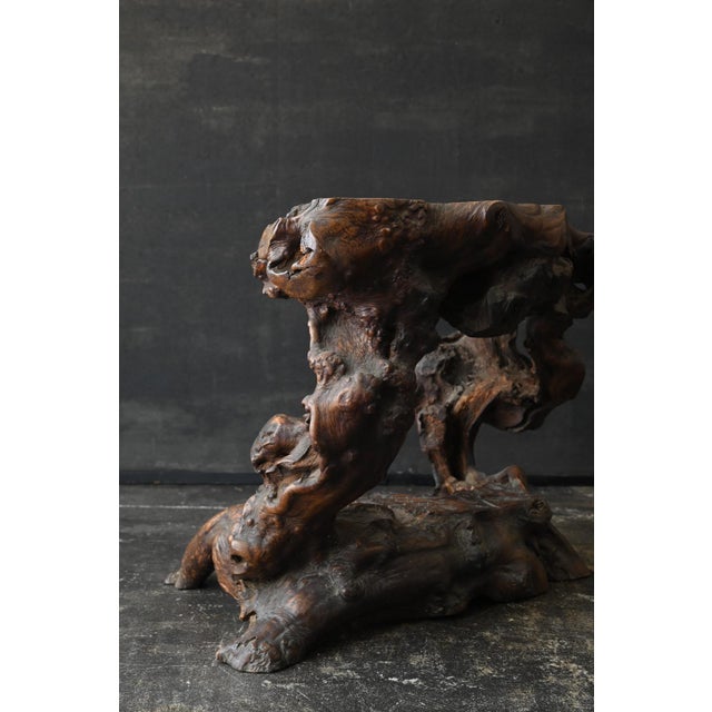 Antique Japanese Burl Wood Display Stand / Meiji-Showa / Organic One-of-a-Kind For Sale - Image 9 of 18