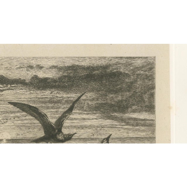 After R. Ansdell, Seagulls at Sunset on Coastal Cliffs, Etching, 1872 For Sale - Image 7 of 9