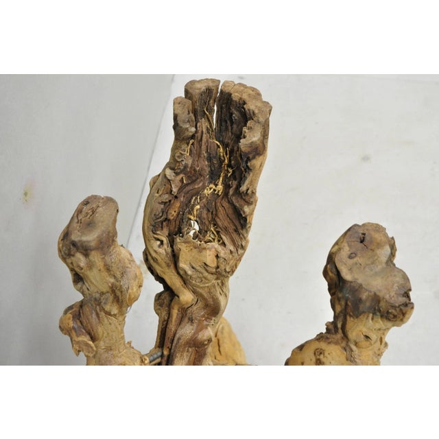 Vintage Mid Century Modern Natural Burl Driftwood Demilune Glass Console Table For Sale - Image 12 of 18