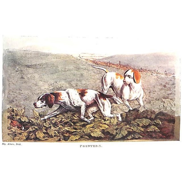 "National Sports of Great Britain" 1903 Alken, Henry For Sale - Image 9 of 12