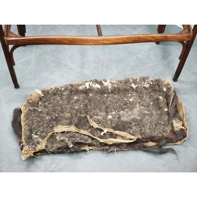 Brown Model 715/C Settee by Gustav Siegel for Jacob & Josef Kohn, 1901 For Sale - Image 8 of 16