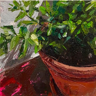 Pot Plants 2 by Conrado López | Acrylic and oil on canvas close-up of a potted plant For Sale