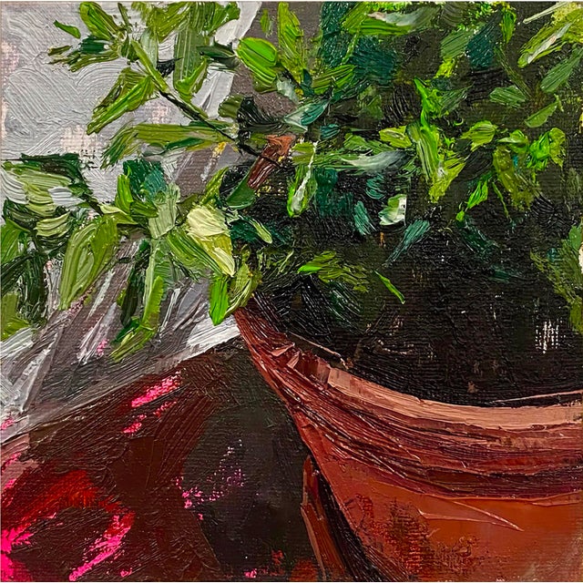 Pot Plants 2 by Conrado López | Acrylic and oil on canvas close-up of a potted plant For Sale
