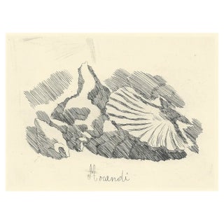 Giorgio Morandi, Shell Valve, 1924-1957, Lithograph For Sale