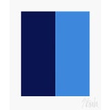 Color's Cooperation No. 2 Fine Art Print 16" X 20" by Liz Roache For Sale