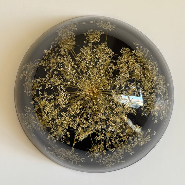 Vintage Botanical Resin Paperweight With Pressed Queen Anne's Lace For Sale - Image 15 of 17