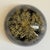 Vintage Botanical Resin Paperweight With Pressed Queen Anne's Lace For Sale - Image 15 of 17