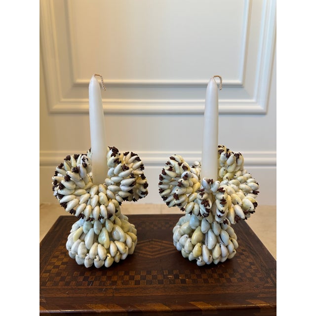 Fabulous Pair Seashell Candleholders, Dating to the 1970’s. Terrific undulating ruffled top pieces. Great patina to the...