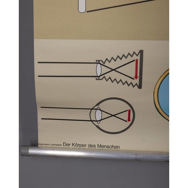 Industrial Vintage School Poster the Eye and Its Functions from Lehrmittelverlag Wilhelm Hagemann, 1970s For Sale - Image 3 of 15