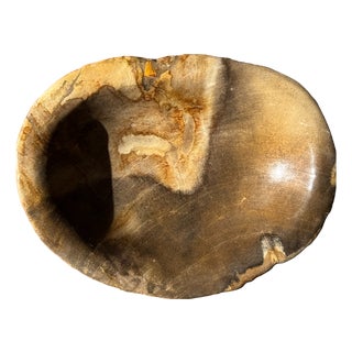 Dark Beige Oval Petrified Wood Bowl, 1980s For Sale