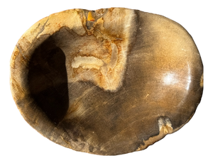 Dark Beige Oval Petrified Wood Bowl, 1980s