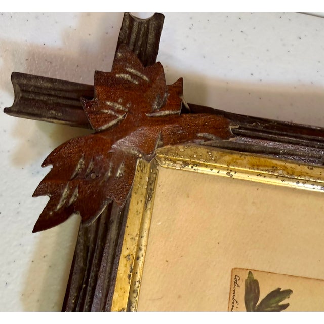Rose Mid 19th Century Lyman Byxbe “Columbine” and “Wild Rose” Prints in Criss Cross Corner Frames - Set of 2 For Sale - Image 8 of 12