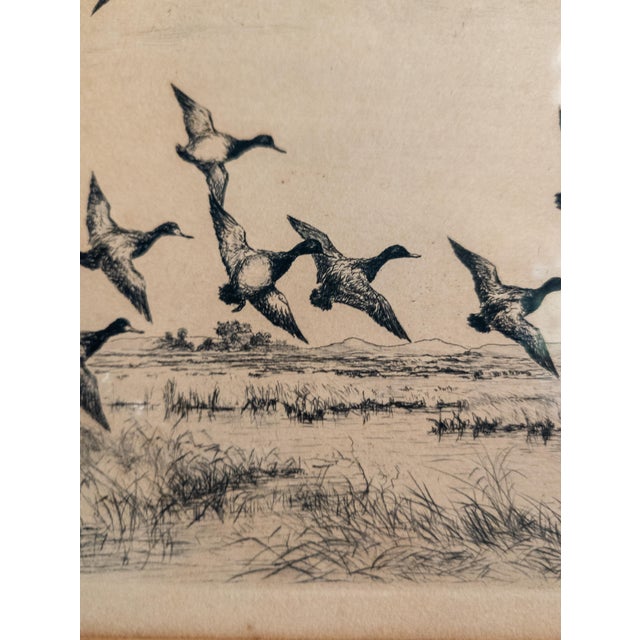 Early 20th Century Drypoint Etching Print of "Little Blue Bills" by Roland Clark For Sale - Image 10 of 13
